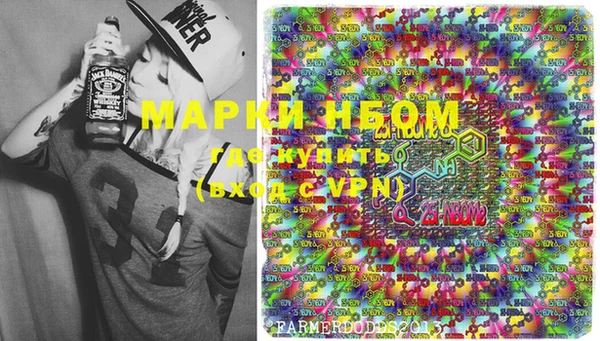 стафф Осташков